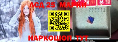 индика Лесосибирск