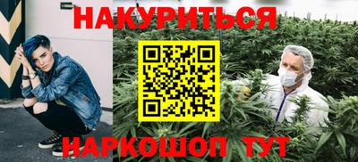 индика Лесосибирск