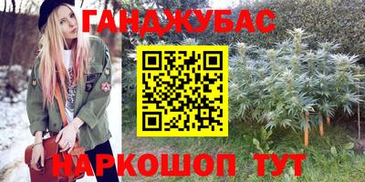 индика Лесосибирск