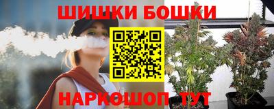 индика Лесосибирск