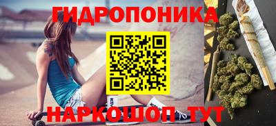 индика Лесосибирск