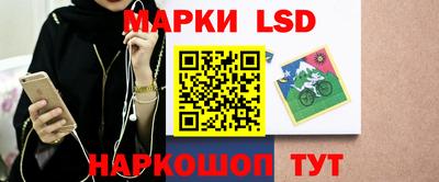 индика Лесосибирск
