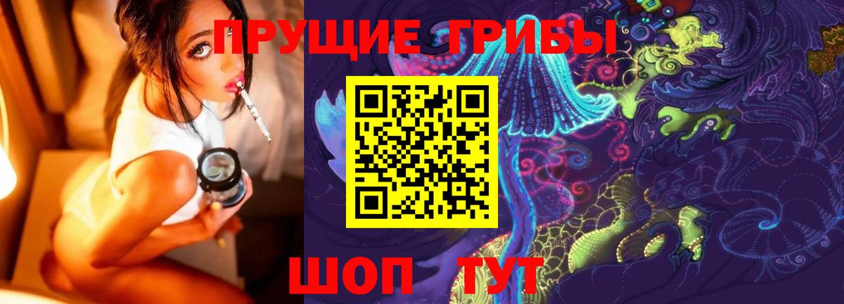 Псилоцибиновые грибы Psilocybe Воронеж